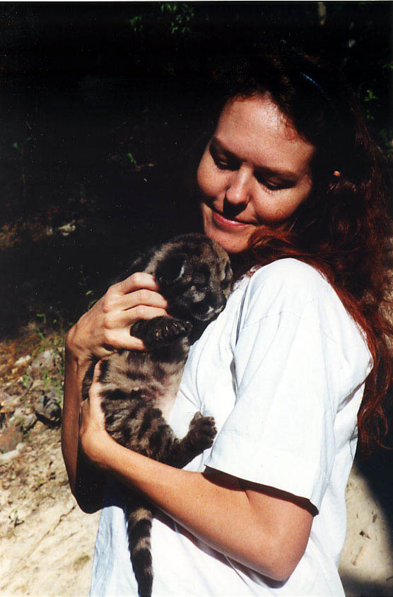 24_ar_kitty
