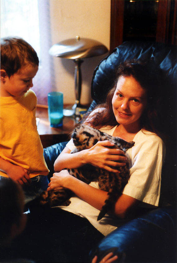 25_ar_kittens