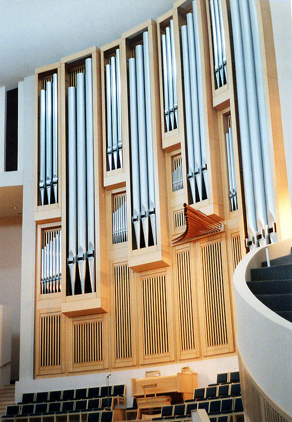 37_mo_organ