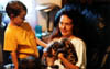 26_ar_kittens